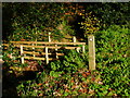 Footbridge crosses drain