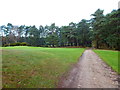 Crossing a green on Sunningdale Golf Course