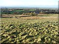 Pasture south-east of Glasfryn, Ceunant