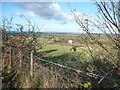 Farmland north of Bryn y Gro