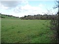 Farmland west of Llwyn Bedw Isaf [Lower Birch Grove]