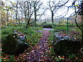 Scutley Lane reaches Hook Mill Lane