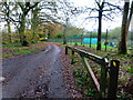 Track going westwards from Hook Mill Lane