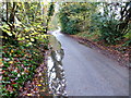 Hook Mill Lane with puddle