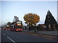 Buses stopping on Broadway