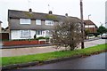 Houses in Roundstone Crescent