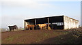 Cowshed near Pen-y-Parc Farm