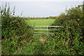 Fields to the north of Northway