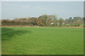 Grazing towards Marsh Planting (woodland)