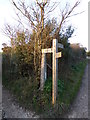 TV5596 : South Downs Way Sign by PAUL FARMER