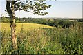 Field by the Granite Way