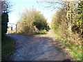 The way to the allotments