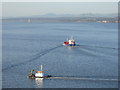 NT1279 : The Firth of Forth - a view from the Road Bridge by M J Richardson