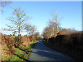 Country road north of Mallsgate Farm