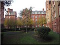 Green and pedestrian open spaces