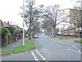 Thornbury Road - viewed from Thornes Roaf