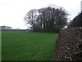 Woodland beside Blackpool Road