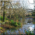 Pond, Goffs Park, Crawley