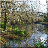 TQ2536 : Pond, Goffs Park, Crawley by Robin Webster