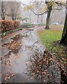 Puddle, Victoria Avenue, Harrogate