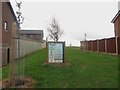 Young trees, Westrigg Road, Carlisle