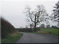 Lane bend west of Edstaston