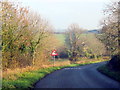 Road to The Combertons Near Woollas Hall