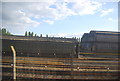 Ashford Rail Depot