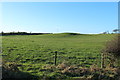 Farmland near Keekafar