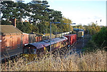 TM1843 : Freight Train at Derby Road Station by N Chadwick