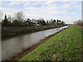 The Market Weighton Canal