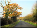 Road Near Marybrook Bridge