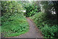 Footpath off the old line