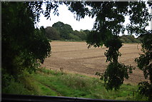 SE3157 : Farmland by the old railway line by N Chadwick