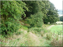 SE0026 : Hebden Royd FP17 along edge of Burlees Wood by Humphrey Bolton
