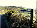 Whin blossoms and frost, Ballynahaye