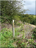 SE0026 : Waymark post on Hebden Royd FPs 15 and 17 by Humphrey Bolton