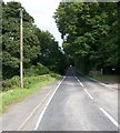 A50 (Ballyward Road) running alongside the wall of Ballyward Lodge 