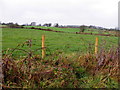 Lurganboy Townland