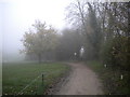 Path junction in the mist