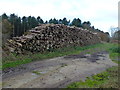 Timber next to Gravelpit Wood, West Raynham