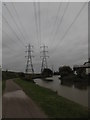 Pylons along River Lee Navigation