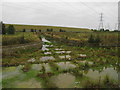 Outflow Channel in South Marsh