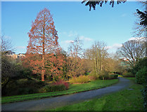 TQ3471 : Sydenham Wells Park (1) by Stephen Richards