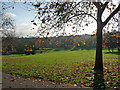 Sydenham Wells Park (7)