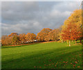 Autumnal Norwood Park (2)