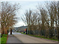 Gates of Wat Tyler Country Park