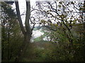 Stour Valley from Daws Hall Nature Reserve