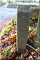 SP3124 : Old gatepost with benchmark beside Old London Road by Roger Templeman