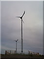 Wind turbines on Black Bank